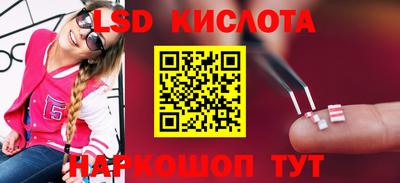 СК Кингисепп