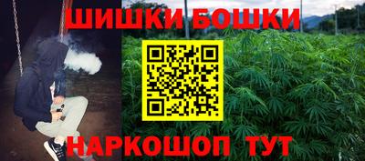 СК Кингисепп
