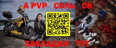 СК Кингисепп