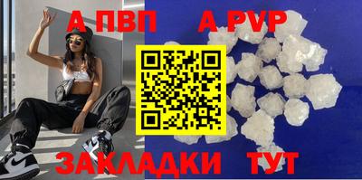 СК Кингисепп