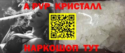 СК Кингисепп