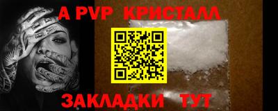 СК Кингисепп