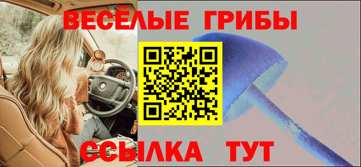 Псилоцибиновые грибы Psilocybe  Вход с VPN  Галлюциногенные грибы Psilocybine cubensis  Красноярск 
